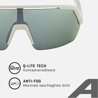 ALPINA Turbo Hr Q-lite Unisex Napszemüveg - Unit size, Cool grey matte 3