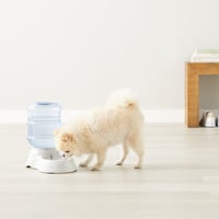 Amazon Basics dozator za hranu i vodu za kućne ljubimce, pojilica, 3,8 litara, veličina S, prozirno, za pse i mačke, 1 komad 7