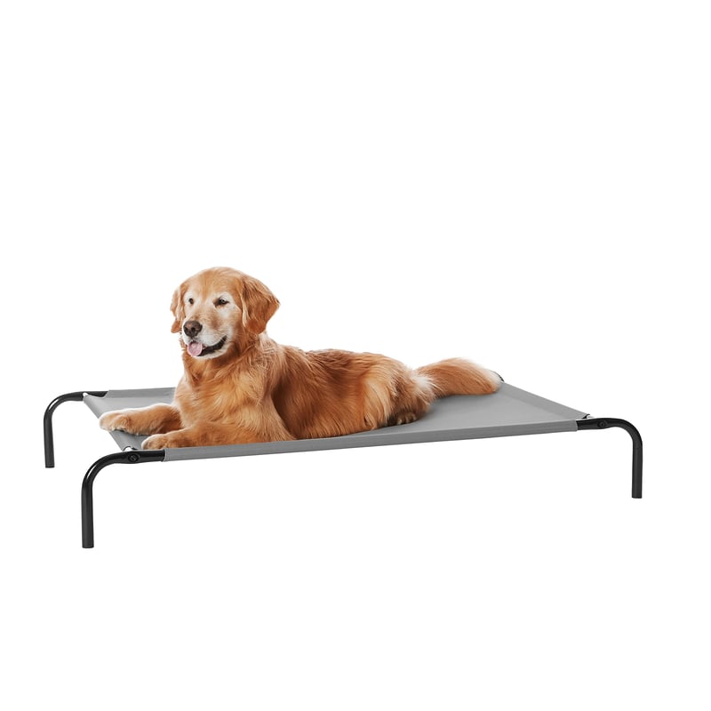 Amazon Basics Chladiaca vyvýšená posteľ pre psov – veľkosť L, 130x80x19 cm, sivá – Priedušný pelech pre domácich miláčikov