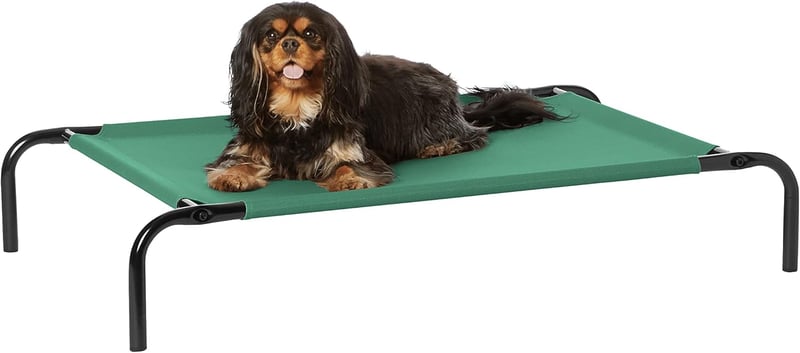 Amazon Basics Hűtő Emelt Kutyaágy S Méret Zöld - S, green, Raised Bed