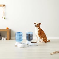 Amazon Basics set dozatora za hranu i vodu za kućne ljubimce, veličina L, dozator hrane od 5,44 kg i dozator vode od 9,46 l, 2 komada 6