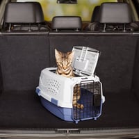 Amazon Basics transporter za kućne ljubimce s 2 vrata i otvorom na krovu, plavi, 48x32x25 cm, transporter za pse i mačke 9