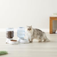 Amazon Basics Set Dispenser Hrană și Apă pentru Câini, Mărimea S, 2 bucăți, Set hrănitoare și adăpătoare pentru animale de companie 8