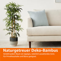 Umelá bambusová rastlina Amazon Basics v plastovom kvetináči, 100 cm, zelená 5