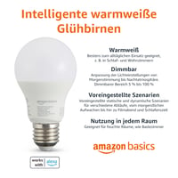 Amazon Basics pametna LED žarulja E27 s mogućnošću prigušivanja, toplo bijela, 8W (60W), kompatibilna s Alexom, 2 kom. 2