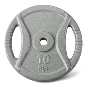 Amazon Basics lijevana ploča za utege 10 kg, protuklizna, promjer šipke 2,5 cm, antracit siva, jedan komad