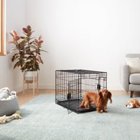Skladacia kovová klietka pre psov Amazon Basics s podnosom, dvojdverová, čierna, 76x48x53 cm 6