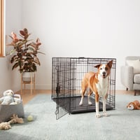 Sklopivi metalni žičani kavez za pse Amazon Basics s pladnjem, dvostruka vrata, crni, 107 x 71 x 76 cm 6
