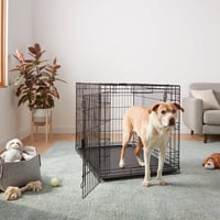 Amazon Basics összecsukható fém drótháló kutyakennel dupla ajtóval, aljcálcával, fekete, 122 x 76 x 83 cm 6