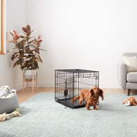 Cușcă pliabilă din sârmă metalică Amazon Basics pentru câini, cu o ușă și tăviță, negru, 61 x 46 x 51 cm 6