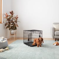 Skladacia kovová klietka pre psov Amazon Basics s dvojitými dverami a podnosom, 61 x 46 x 51 cm, čierna 6