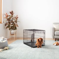 Amazon Basics Összecsukható Fémrácsos Kutyabox Tálcával, Egyszárnyú Ajtó, Fekete, 76 x 48 x 53 cm 6
