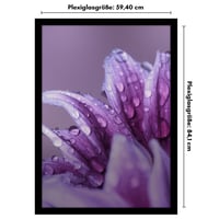 Americanflat fotorámik A1 čierny – veľkosť DIN A1, kompozitné drevo a krištáľovo čistý plexisklový panel, možnosť montáže na stenu horizontálne aj vertikálne 2