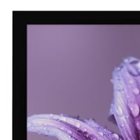 Americanflat fotorámik A1 čierny – veľkosť DIN A1, kompozitné drevo a krištáľovo čistý plexisklový panel, možnosť montáže na stenu horizontálne aj vertikálne 8