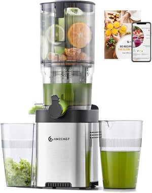 AMZCHEF Slow Juicer hidegen sajtolós gyümölcs- és zöldségfacsaró 2 szűrővel, 136 mm - ezüst