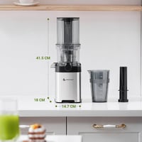 AMZCHEF Slow Juicer hidegpréses gyümölcs- és zöldségcentrifuga - 120 mm-es betöltőnyílás, rozsdamentes acél 8