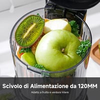 AMZCHEF Slow Juicer hidegpréses gyümölcs- és zöldségcentrifuga - 120 mm-es betöltőnyílás, rozsdamentes acél 3