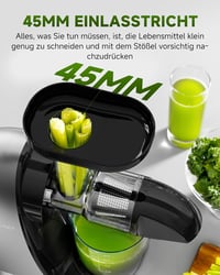 AMZCHEF Prémium Gyümölcs- és Zöldségprés 150W - Csendes Motoros Lassú Gyümölcsfacsaró Visszaforgató Funkcióval, Ezüst 3
