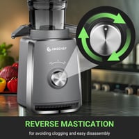 AMZCHEF Slow Juicer hidegsajtolós facsaró - 250 W, 103 mm betöltőnyílás, szürke 7
