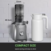 AMZCHEF Slow Juicer hidegsajtolós facsaró - 250 W, 103 mm betöltőnyílás, szürke 8