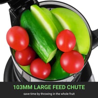 AMZCHEF Slow Juicer hidegsajtolós facsaró - 250 W, 103 mm betöltőnyílás, szürke 4