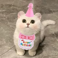 Andibro Kutya Macska Születésnapi Bandana Sál Rózsaszín Party Kalap Jelmez Kiegészítés 4
