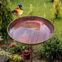 Suport pentru adăpătoare de păsări din metal Andiwa pentru grădină, bol vintage pentru hrănirea păsărilor cu bază cu 5 picioare, decor cu frunze, ornament pentru grădină și terasă 7