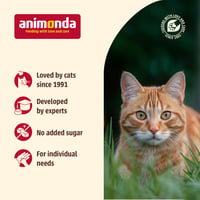 Hrană umedă pentru pisoi Animonda Carny cu vițel, pui și curcan – 12 x 400 g 4