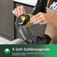 AOBOSI Lassú Gyümölcscentrifuga 2 Sebességgel, Zöldség és Gyümölcs Préshez Kefével 6