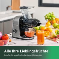 AOBOSI Lassú Gyümölcscentrifuga 2 Sebességgel, Zöldség és Gyümölcs Préshez Kefével 3