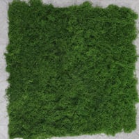AQCQDQ Dekoratív Moha Fal 100x100cm Smaragdzöld Moha Kép Faldekoráció 2