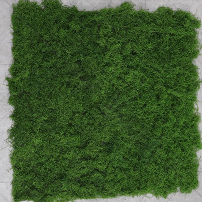 AQCQDQ Dekoratív Moha Fal 100x100cm Smaragdzöld Moha Kép Faldekoráció