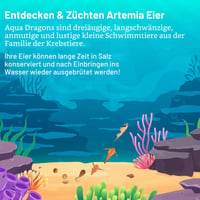 Súprava Aqua Dragons Underwater World – Vypestuj si živé vodné tvory, 400 ml akvárium, krmivo, pipeta a lyžička, od 6 rokov 4