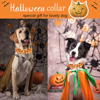 ARING PET Halloween kutyanyakörv tökös masnival, állítható méret, kicsi-nagy kutyáknak 4