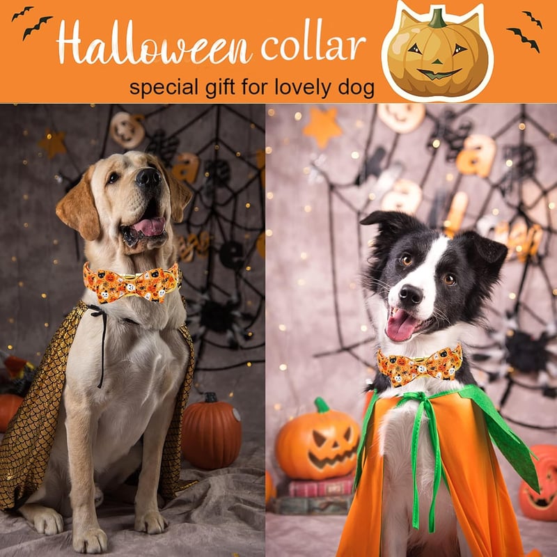 ARING PET Halloween kutyanyakörv tökös masnival, állítható méret, kicsi-nagy kutyáknak
