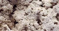 ARKA myReef-Rocks aragonitové skaly pre morské akváriá 13-20 cm 20 kg 7