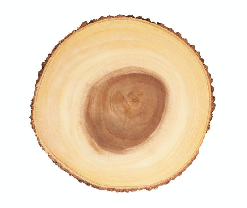 Platou rustic din lemn Artesa cu margine naturală, pentru brânzeturi, tort și servire bufet, 37 x 29 cm, maro