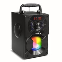 Prijenosni Bluetooth zvučnik Audiocore AC730 s radiom od 11 W 2