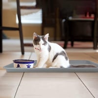 Set Două Tăvițe Colectoare - 60x40x3 cm, Cu Bază de Cauciuc, Pentru Pantofi, Animale de Companie - Tăviță Impermeabilă Pentru Hol, Garaj, Grădină - Tavă Antinoroi Gri, Set 2 buc. 7