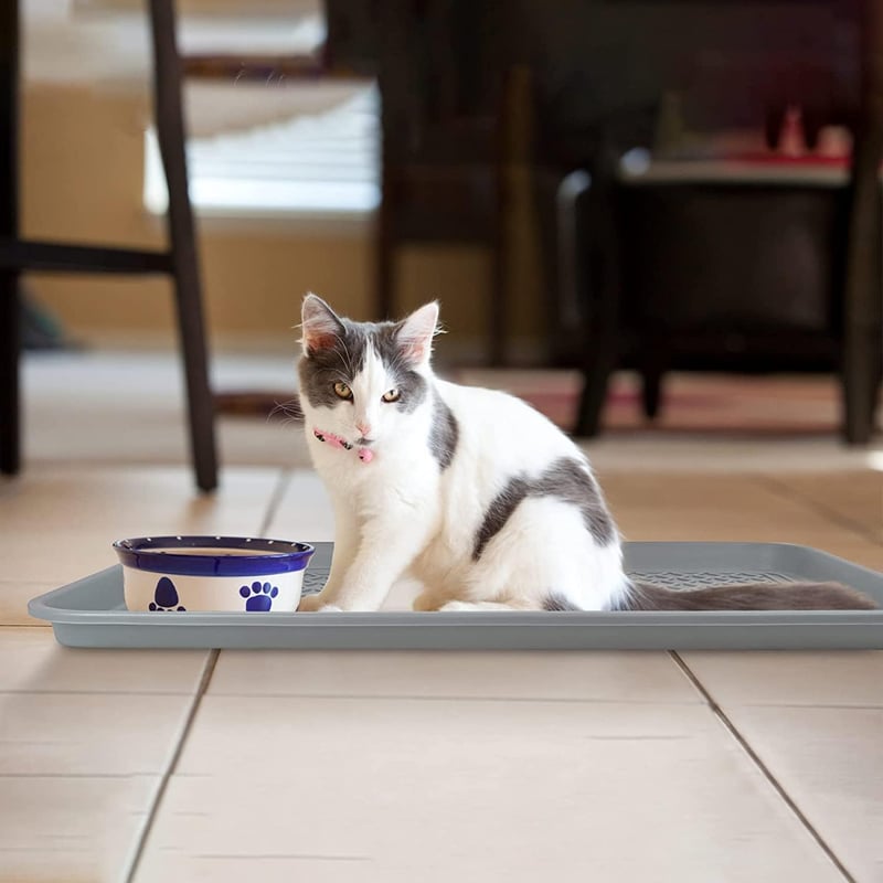 Set Două Tăvițe Colectoare - 60x40x3 cm, Cu Bază de Cauciuc, Pentru Pantofi, Animale de Companie - Tăviță Impermeabilă Pentru Hol, Garaj, Grădină - Tavă Antinoroi Gri, Set 2 buc.