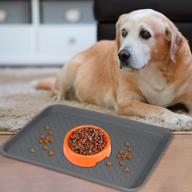 Set Două Tăvițe Colectoare - 60x40x3 cm, Cu Bază de Cauciuc, Pentru Pantofi, Animale de Companie - Tăviță Impermeabilă Pentru Hol, Garaj, Grădină - Tavă Antinoroi Gri, Set 2 buc.