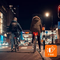 Zadné LED svetlo na bicykel AXA DWN – nabíjanie cez USB – viditeľnosť 300 m – schválenie StVZO – jednoduchá montáž 5