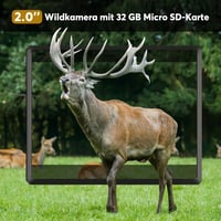Wosports 4K 30MP Vadkamera Éjjellátó, Mozgásérzékelős, IP66 Vízálló 8