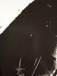 Set de 4 postere japoneze cu pisici mojoliving, decor de perete japonez, imagini anime estetice — mici găuri pe imagini (stare: vezi a 2-a poză) 2