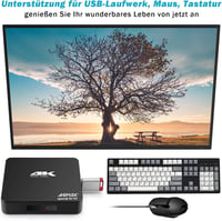 AGPTEK 4K médialejátszó 8TB HDD támogatással, HDMI/AV kimenettel, reklám és felirat funkcióval 8