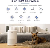 LEVOIT Core 200S-P Légtisztító, HEPA Szűrős, Allergia, Penész, Por, Pollen Ellen, 35m² Területre, Alvó Mód, Éjszakai Fény, WiFi, Applikációs 6