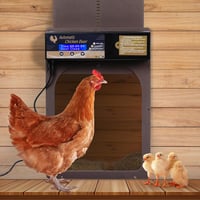 VAYALT Automata Csirkaajtó Nyitó LED Kijelzővel és Időzítővel Csirkeketrec Számára 7
