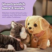 Interaktívny pes BABY Born Mein Hund Lucky s 5 funkciami, od 3 rokov, na batérie, Zapf Creation 835869 8