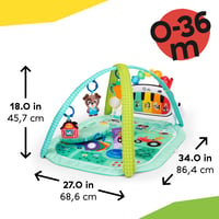Hracia deka Baby Einstein Farm Explorers 4-in-1 Kickin' Tunes s hudobným klavírom na kopanie a podporou jazykového vzdelávania, od 0 mesiacov 2