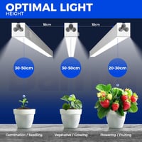 Barrina T5 LED növénylámpa 5000K 29cm 4db szett teljes spektrum - 29cm, White 3